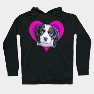 Gorgeous painting of a cavalier King Charles spaniel on a rainbow heart! Hoodie
